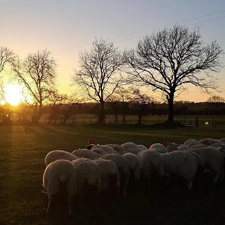 St Kevins * Hollywood (Wicklow)