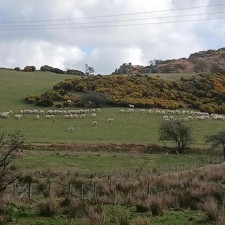 St Kevins