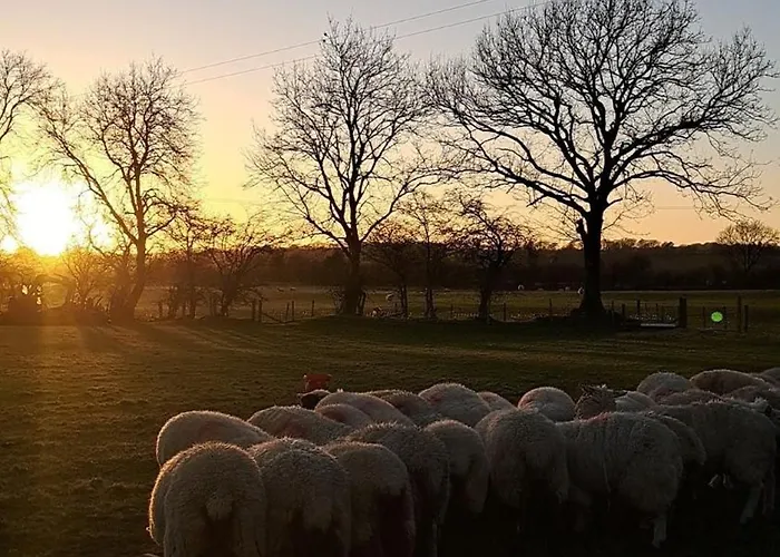 St Kevins * Hollywood (Wicklow)