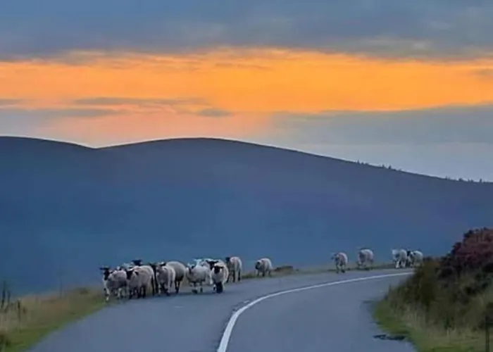 Дом отдыха St Kevins Hollywood (Wicklow)